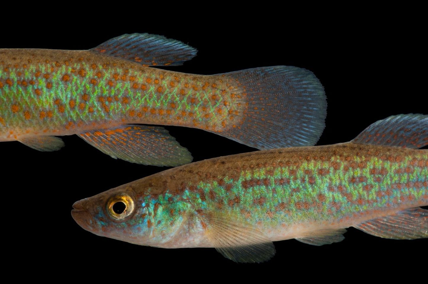 347098237 250038400911555 736972369222822085 n