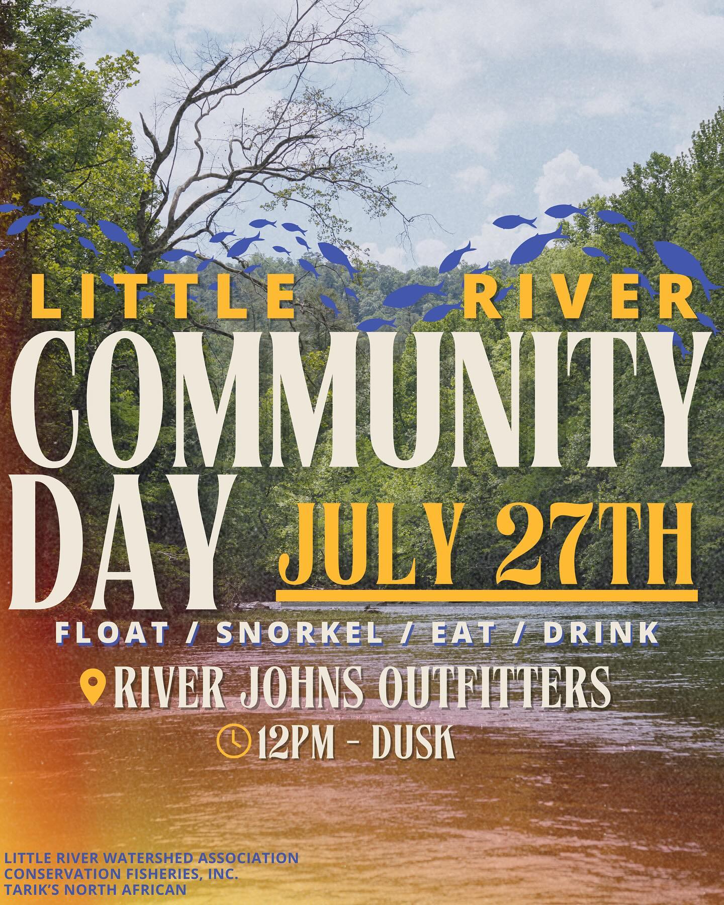 451556517 866503925511828 8698730513538856854 n 1