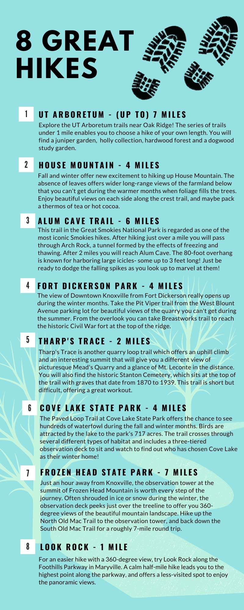 8GreatHikes1-9900000000079e3c.jpg