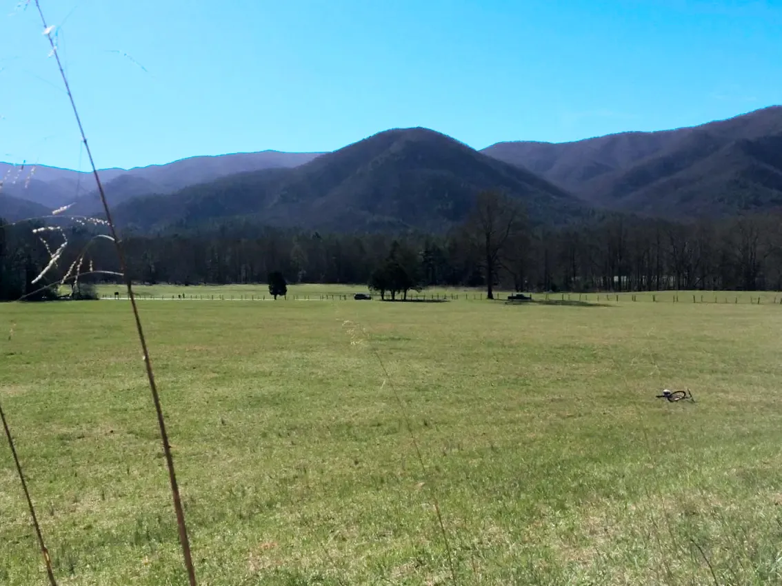 Cades Cove Spring 2016