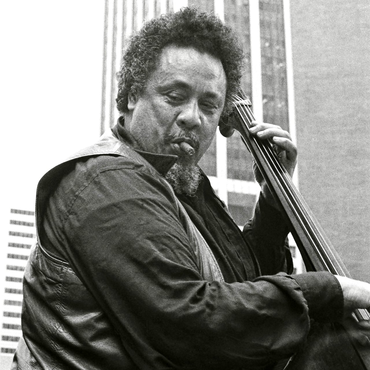 Charles Mingus Jr. 1976, cropped