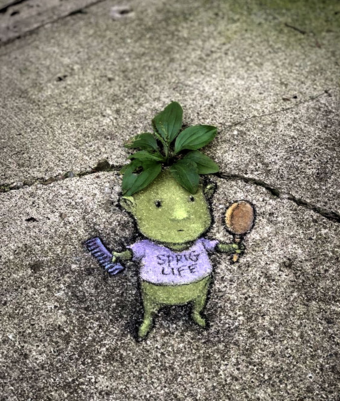 David Zinn Sprig Life emerging
