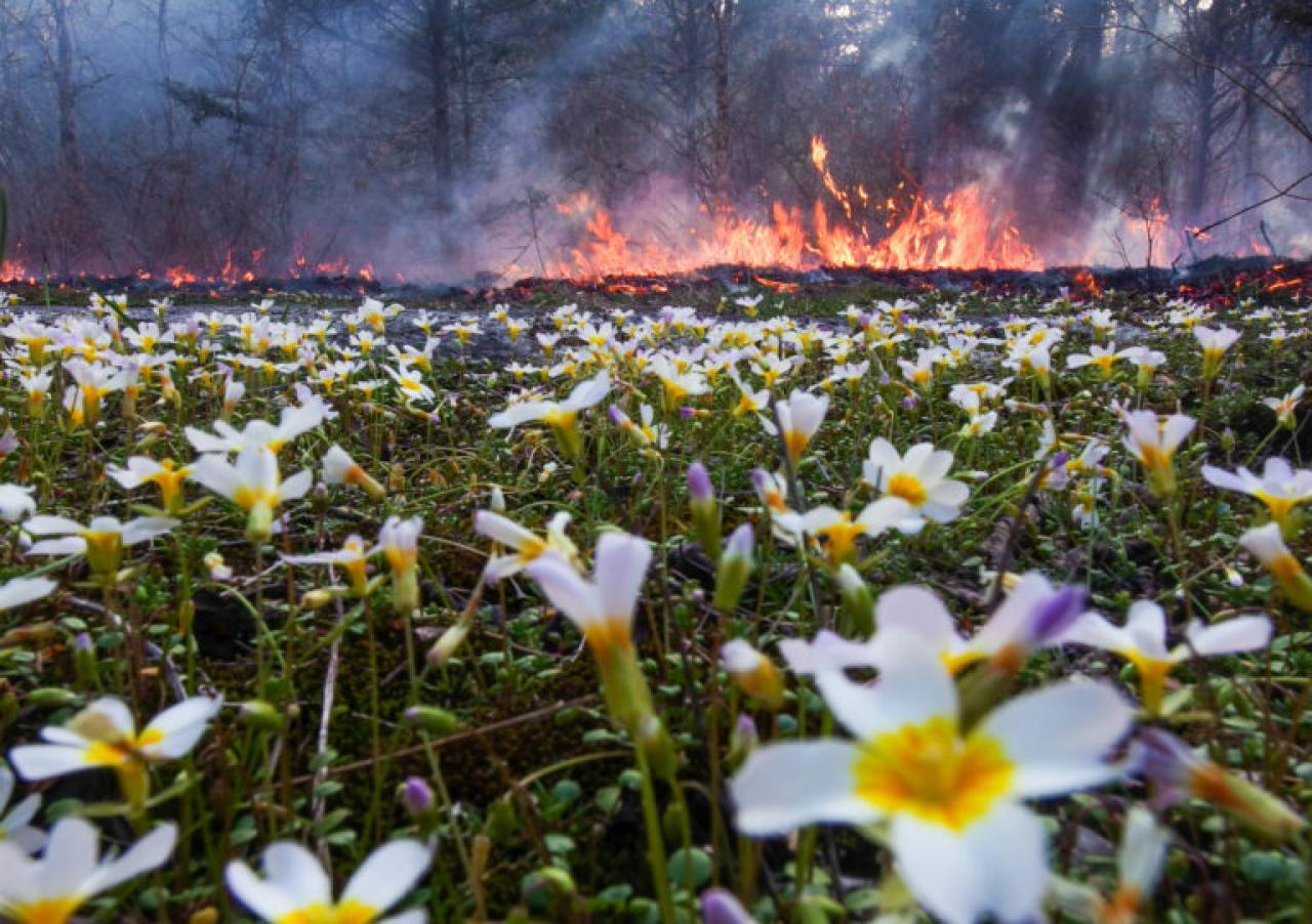 IMGP0083 2 ENHANCED FOR PRINT 768x541