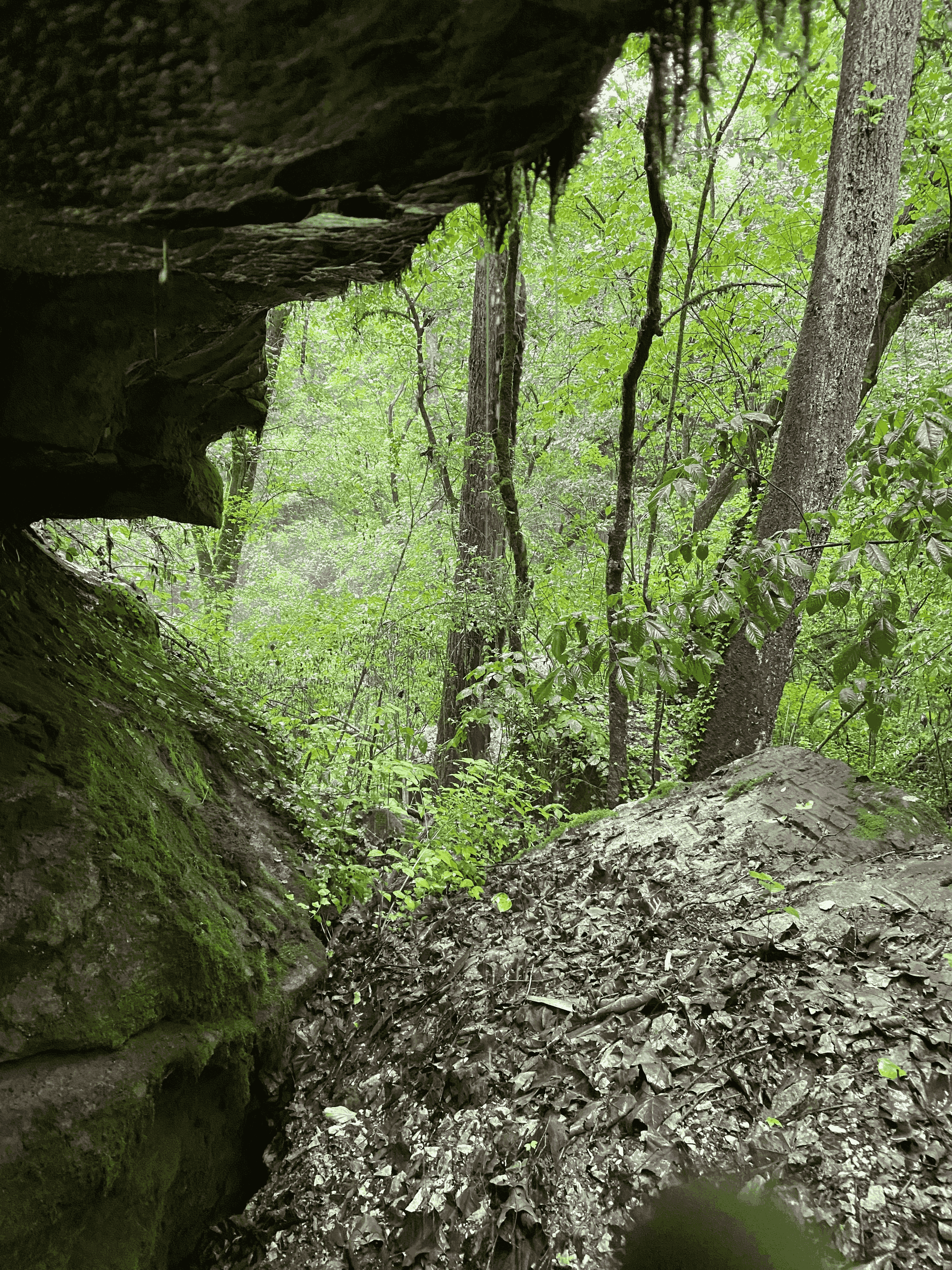 IMG 4356cave1 IMGCentury