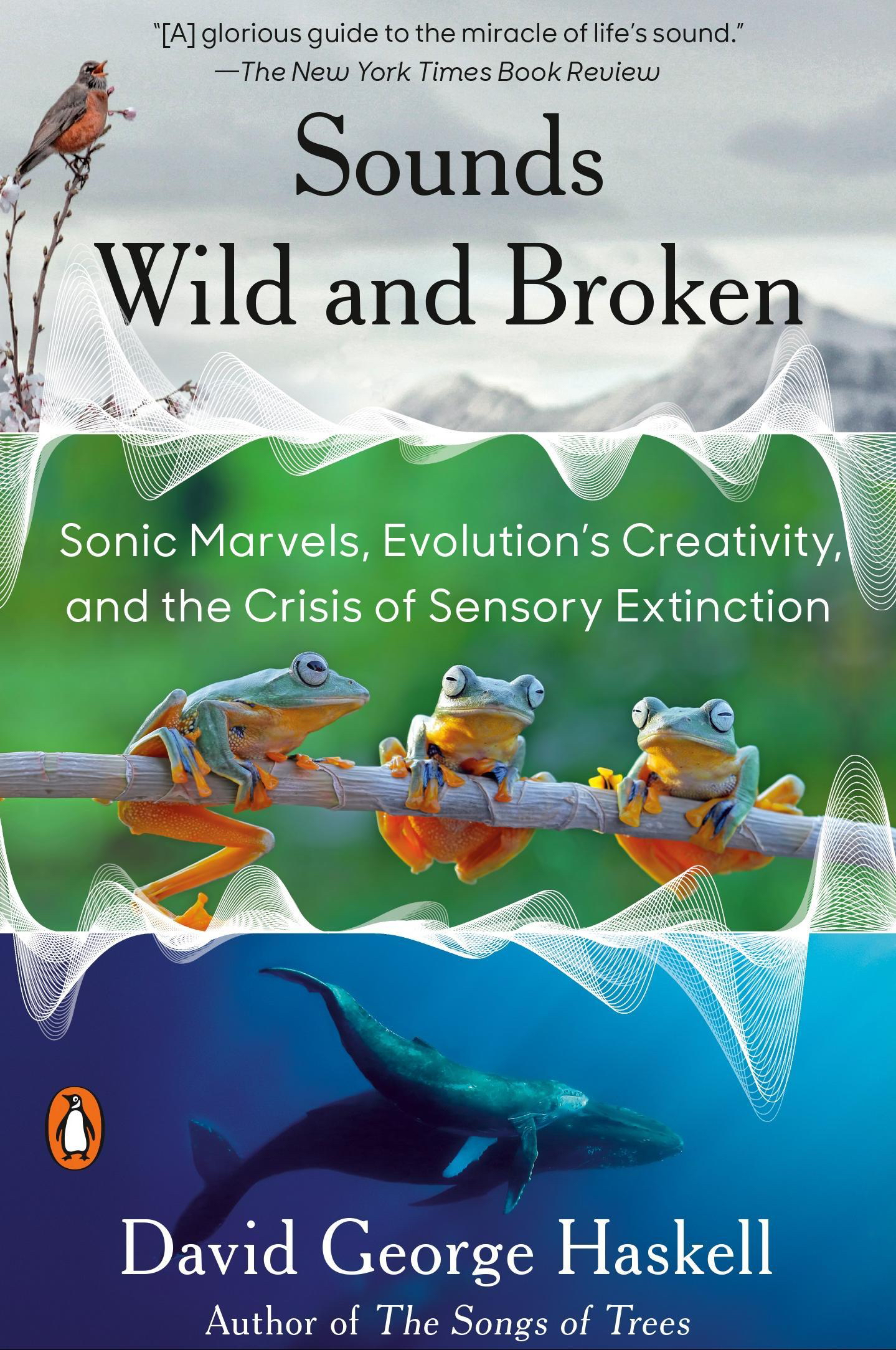 SWB paperback cover jpg