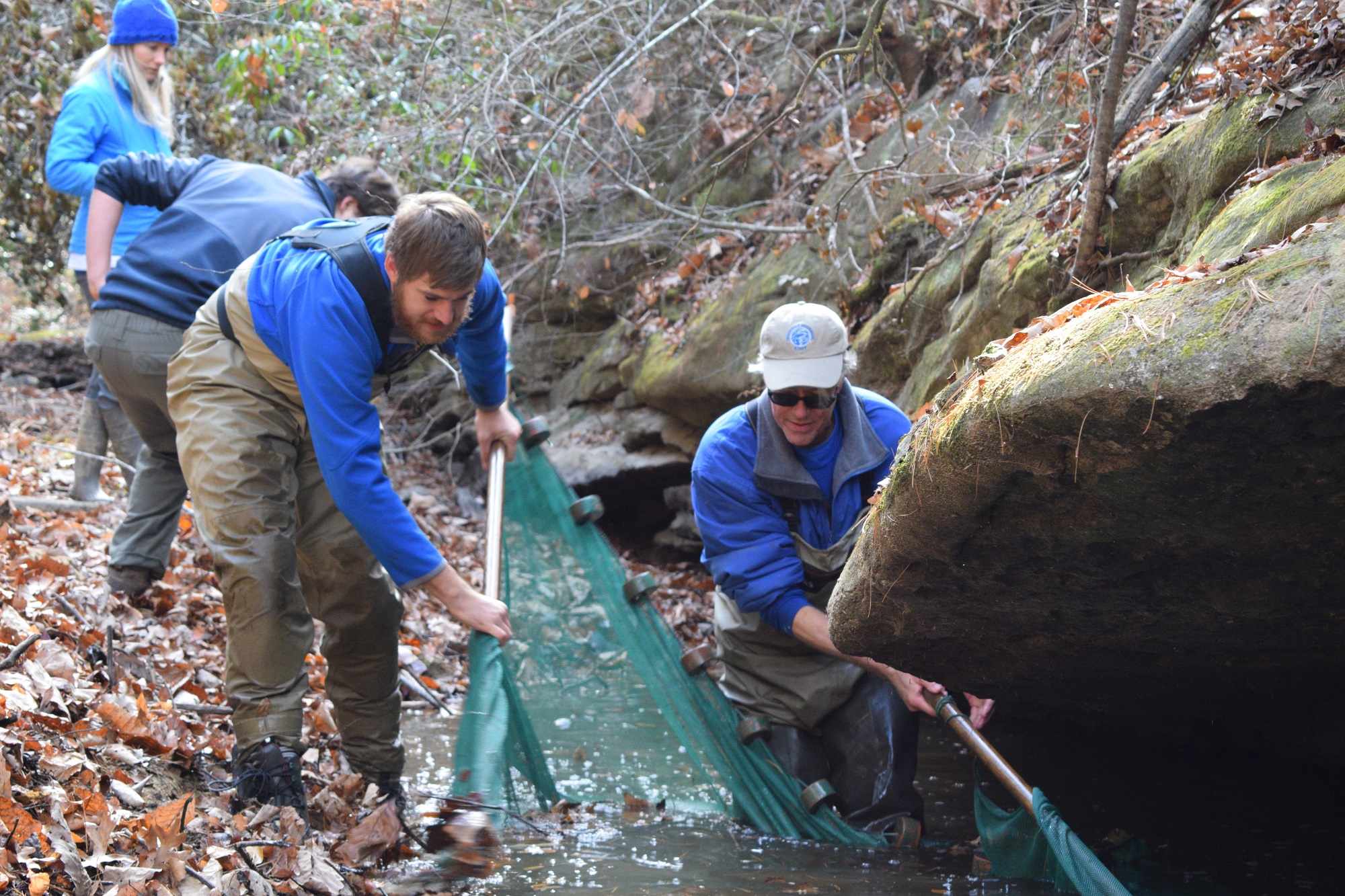 USFWS_and_Tennessee_Aquarium_biologists_collect_Laurel_Dace_during_2016_drought.jpg