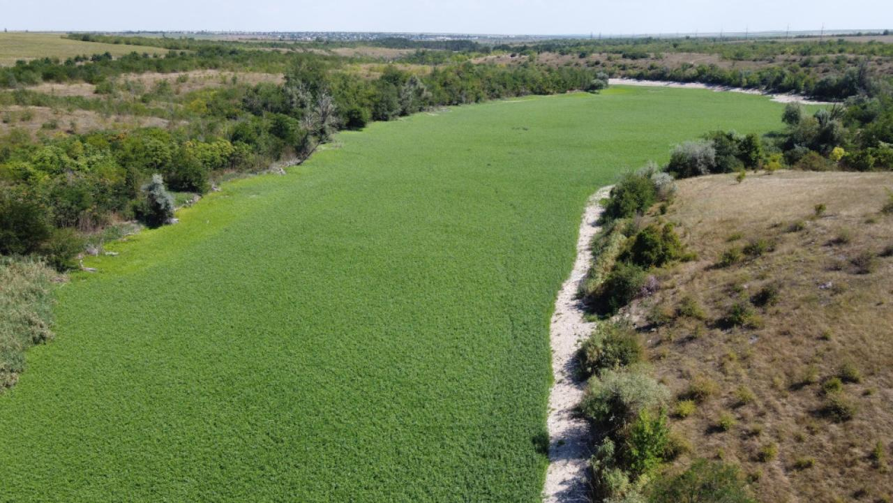 Ukraine forest Serhiiy Skoryk 2