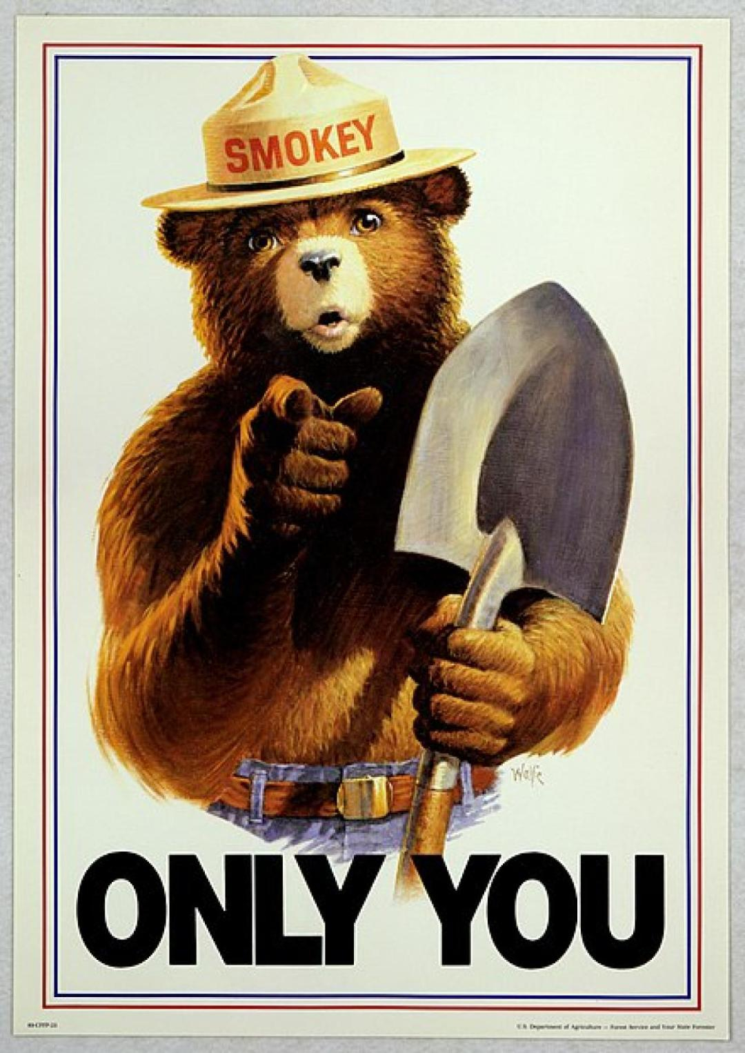 Uncle Sam style Smokey Bear Only You