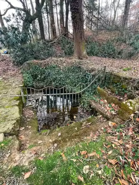 Wellhead with guard rail
