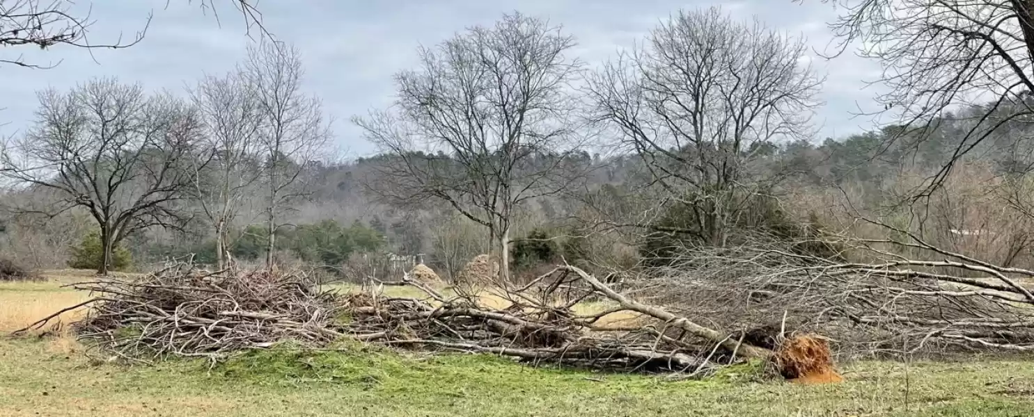 Neighbors  had to endure the unsightly view of decaying wood from their windows and back porches.