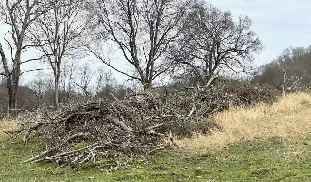 Neighbors  had to endure the unsightly view of decaying wood from their windows and back porches.