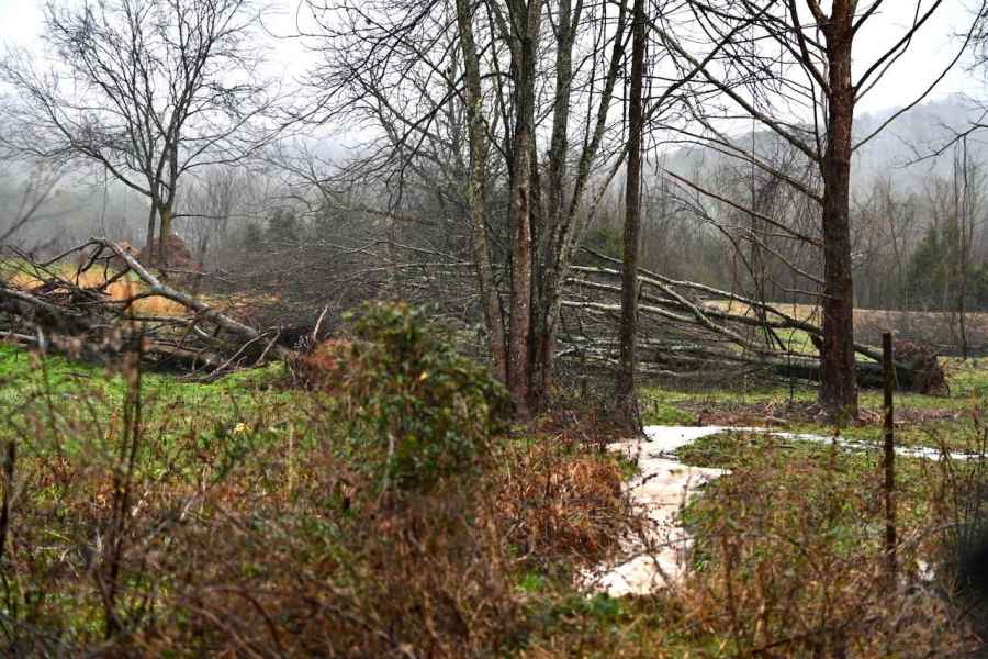 Neighbors  had to endure the unsightly view of decaying wood from their windows and back porches.