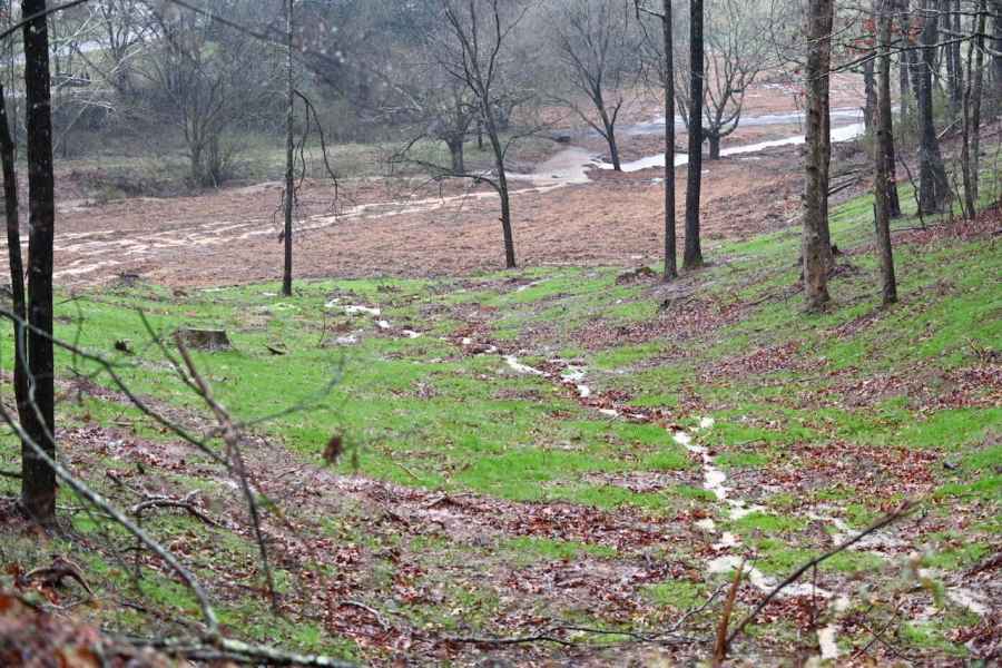 What used to be a pleasant pasture became a muddy swamp.